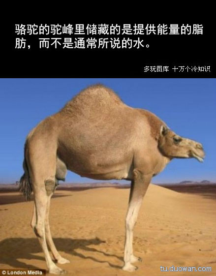 一起聊聊冷知识