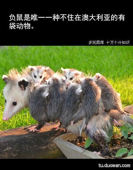 一起聊聊冷知识