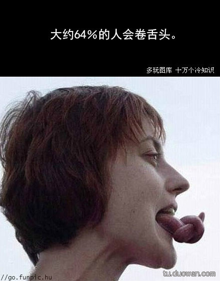 一起聊聊冷知识