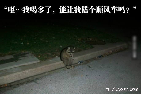 纯洁：是马赛克在作祟