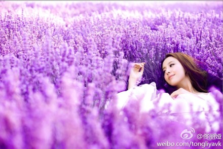 佟丽娅晒唯美仙女照 网友惊呼：美的逆天