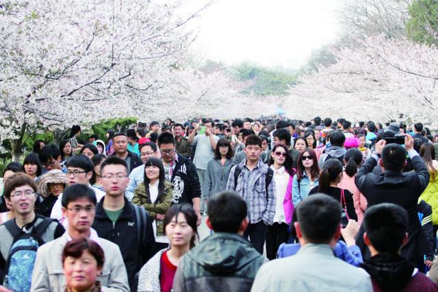 青岛多个景点爆满 踏春郊野外越“土”越是爱