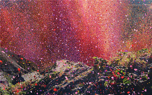 8 million flower petals symbolizing the beautiful 8 million pixel display of the 4K TV 800万片花瓣象征索尼4K电视的800万像素高清屏