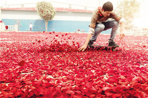 petals covering the surface of a street as a skateboarder rolls past 花瓣铺满了街道，一位少年滑着滑板经过