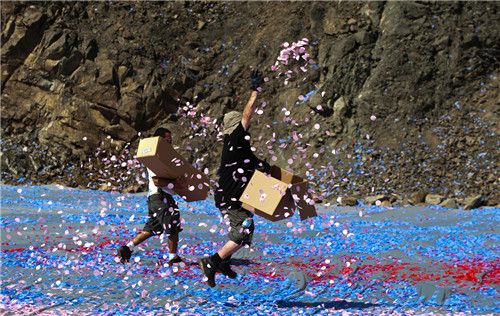 clouds of flower petals swirl and dance in the wind. 大片的花瓣在空中飞舞。