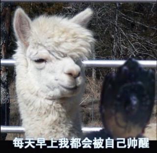 火车上的极品妹子