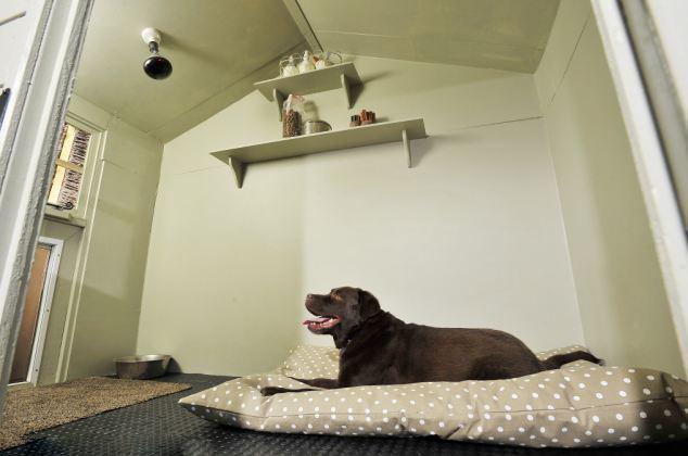 英男子斥资3万元为爱犬建造豪华狗屋