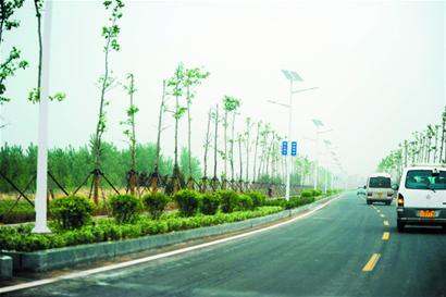 大沽河堤顶路全贯通 免费自行车配备到位