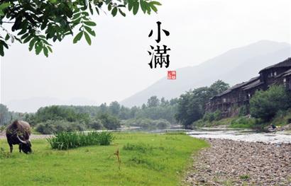 今日小满标志夏季正式开始:一年的黄金分割点