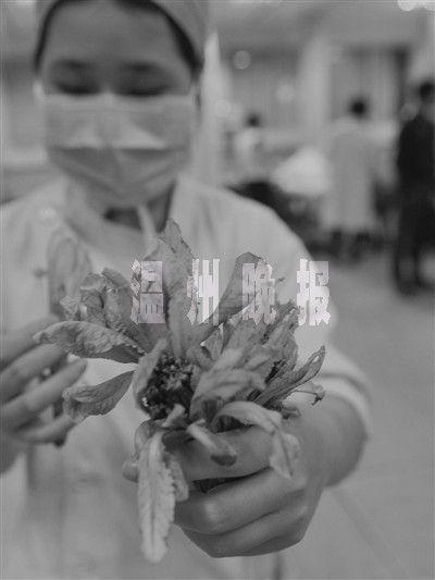 夫妻将毒草误当天山雪莲 食用后3人中毒