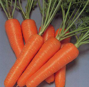 美容养生：女人必知 皮肤最爱10种食物