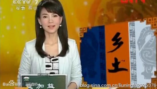 盘点央视“冷门”美女主播 才貌双全各具风情