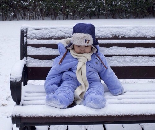 姚晨带儿子玩雪 网友赞小土豆越来越精灵